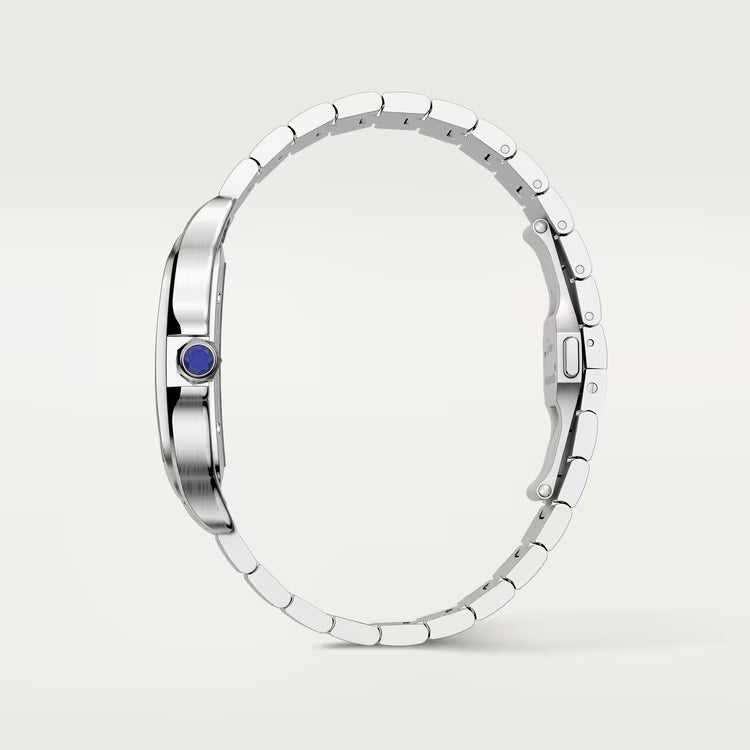 Santos De Cartier WHSA0015 Automatic Skeleton Men's Watch