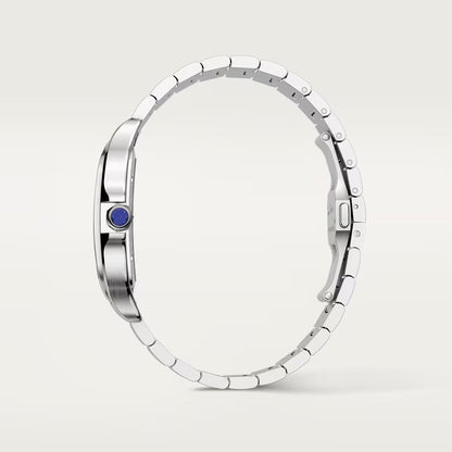 Santos De Cartier WHSA0015 Automatic Skeleton Men's Watch